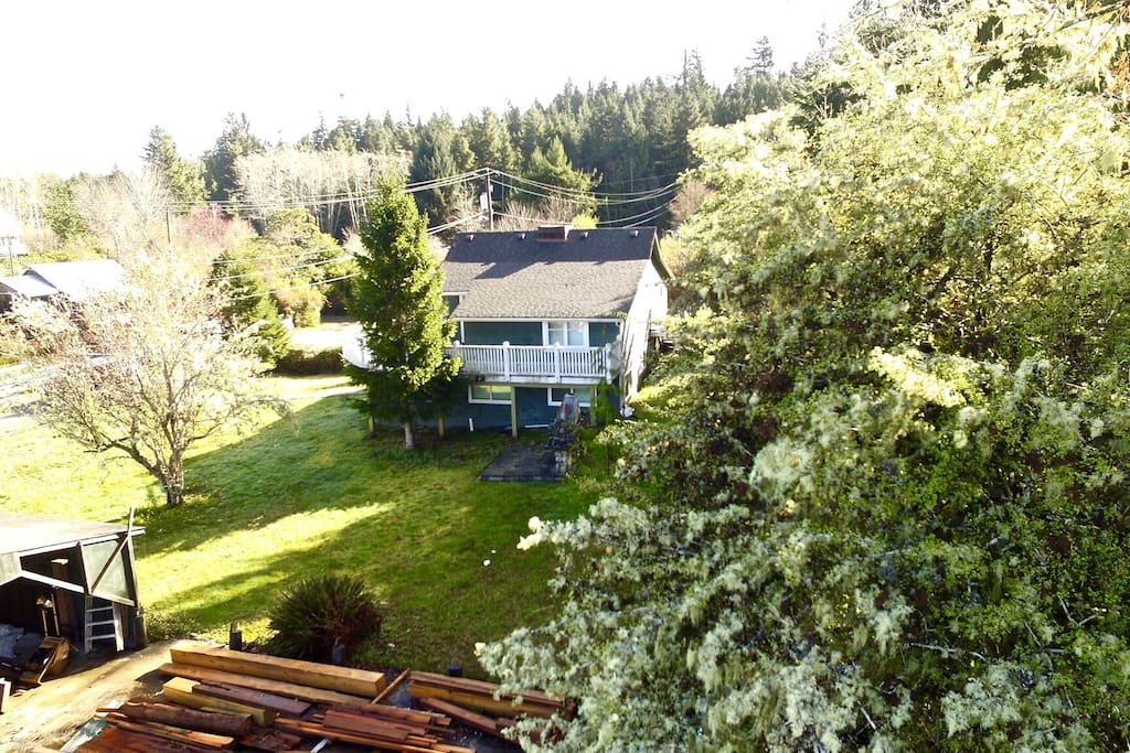 Rear of house