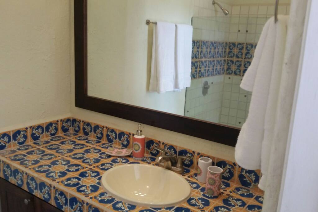 Bathroom with giant shower