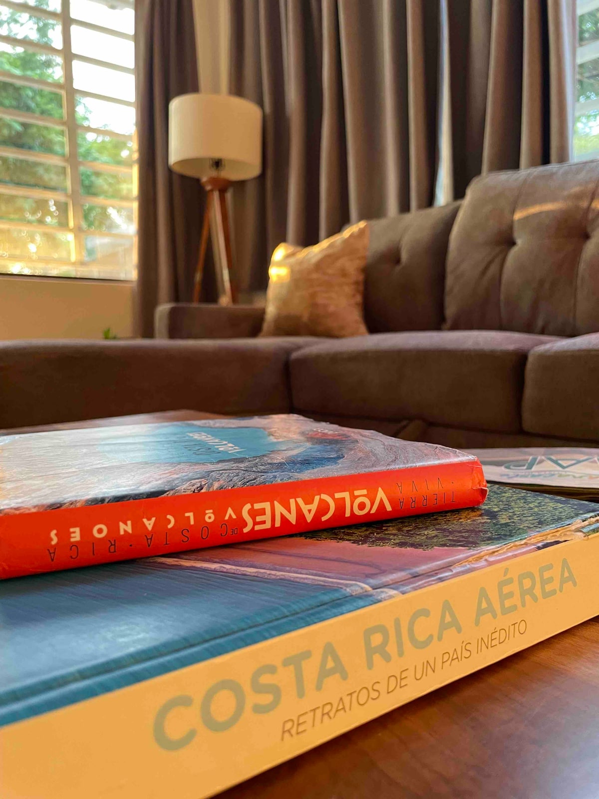 მისაღები ოთახი