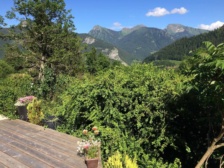 Summertime view from the patio