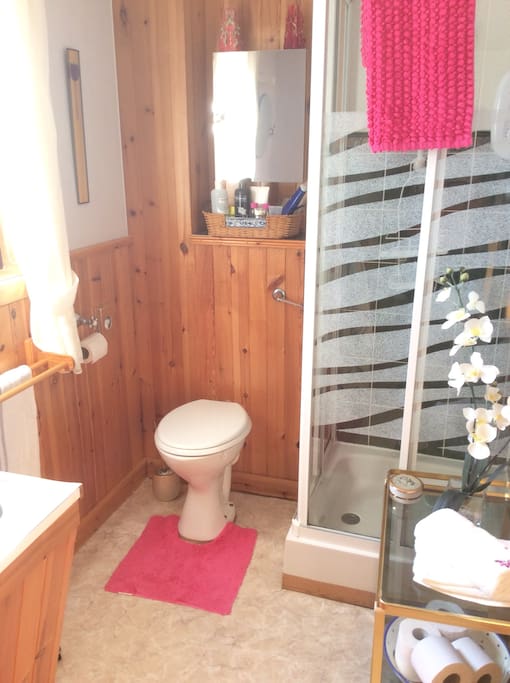 The attached bathroom to your ensuite.