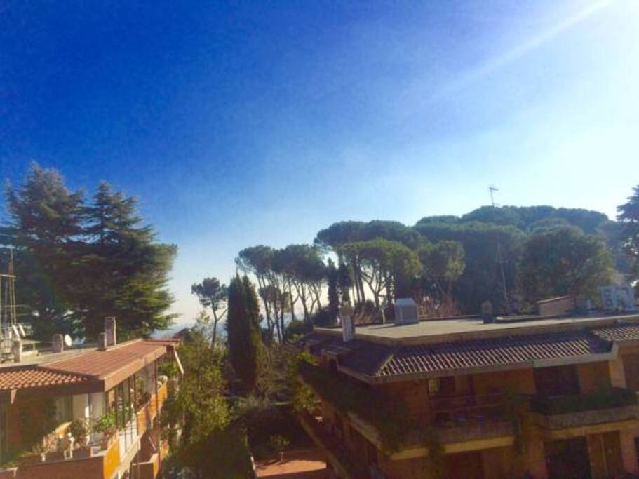 VISTA DELL'APPARTAMENTO