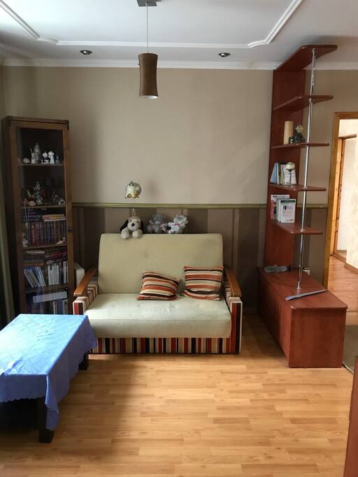 прихожая с раскладным диваном / enter room with sofa