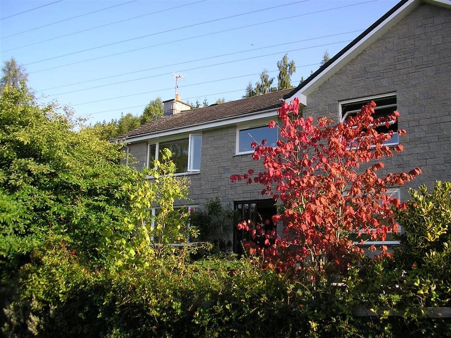 The house again