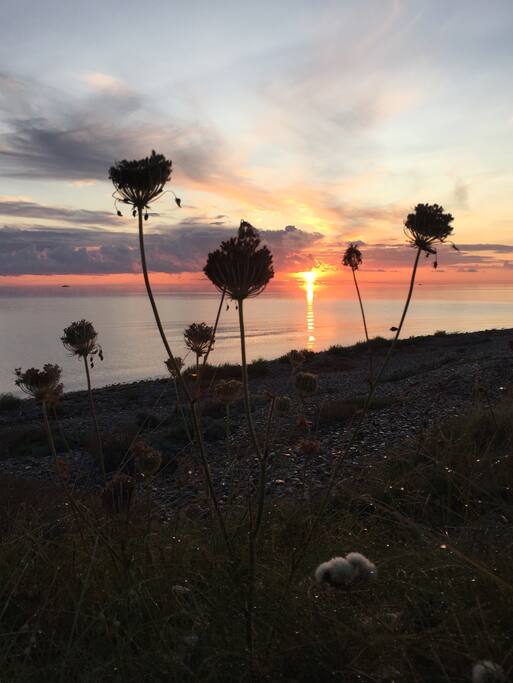 Kattegat ved solopgang