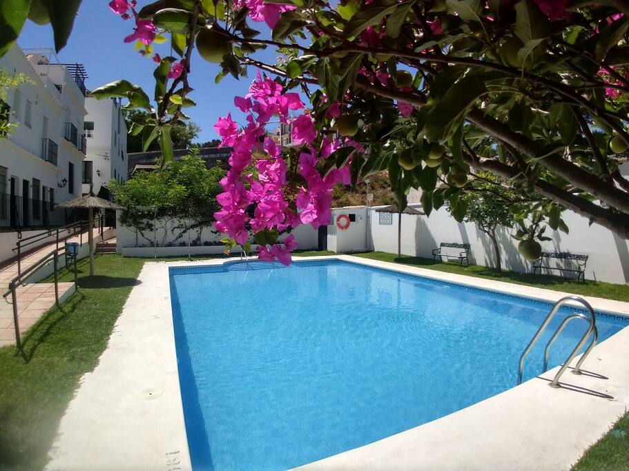 Communal pool and garden