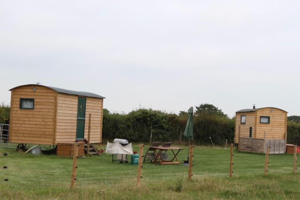 Site view