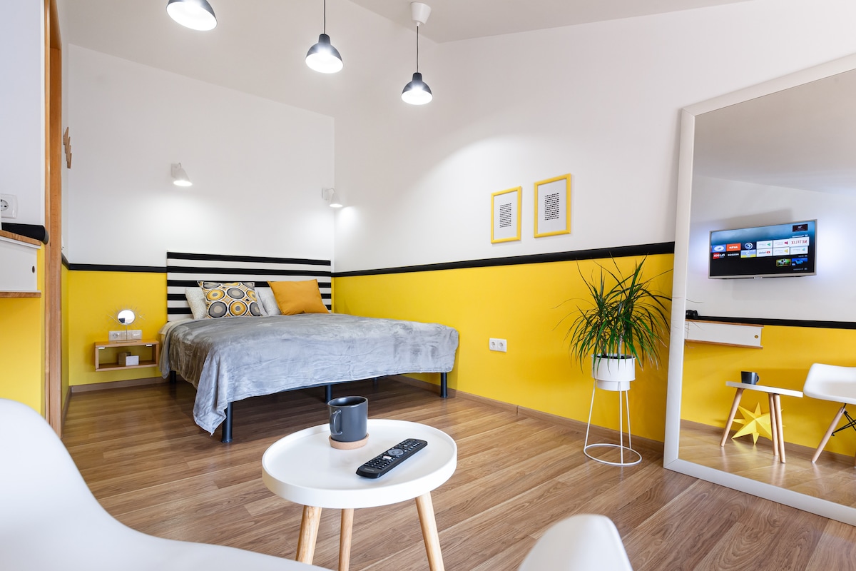 A bright sleeping area is visible, featuring a queen-size bed with a light grey blanket and decorative pillows. A television mounted on the wall displays various options. A small coffee table holds a cup, with a white chair and a potted plant adding to the decor.