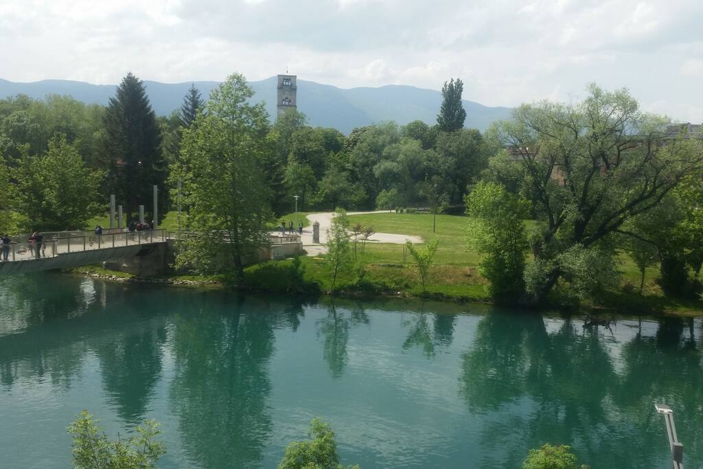 pogled