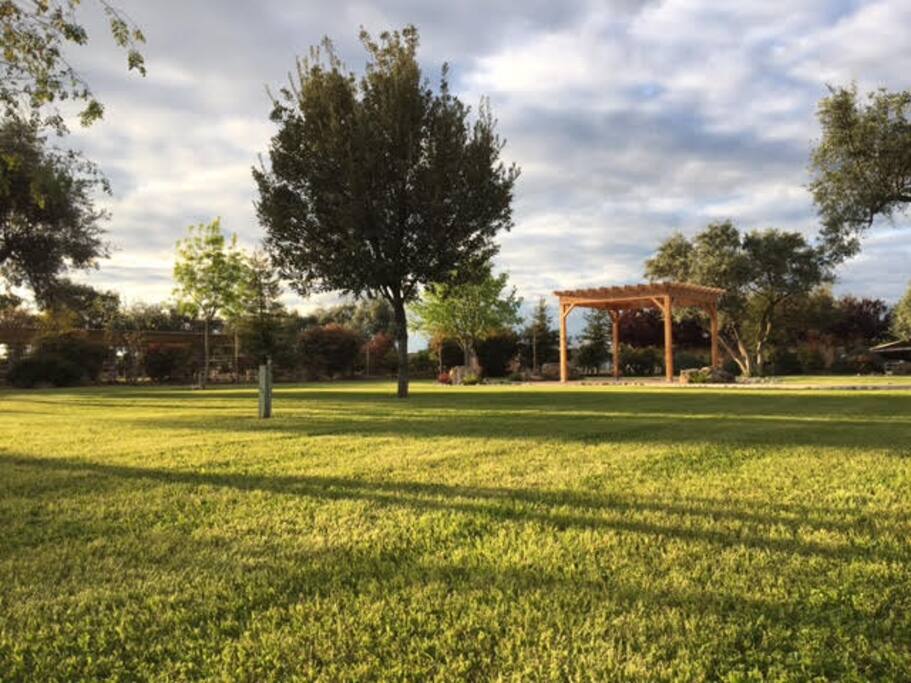 Lawn Area