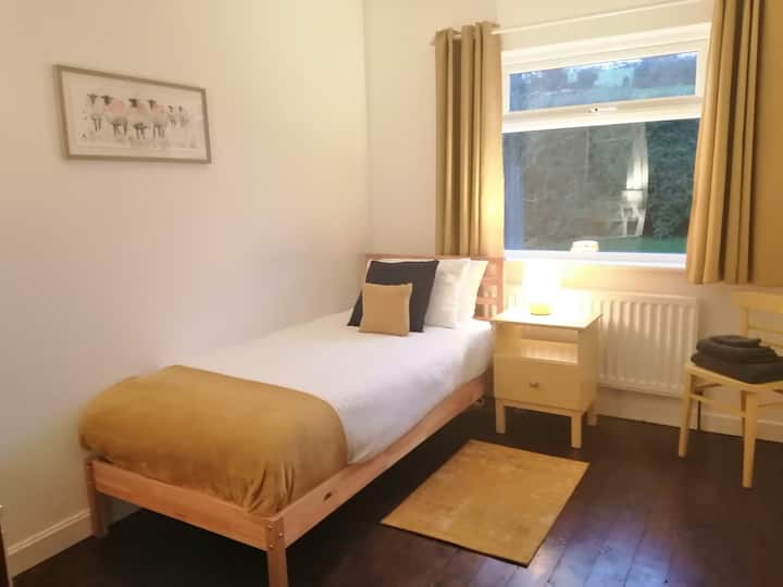 Spacious single room 
