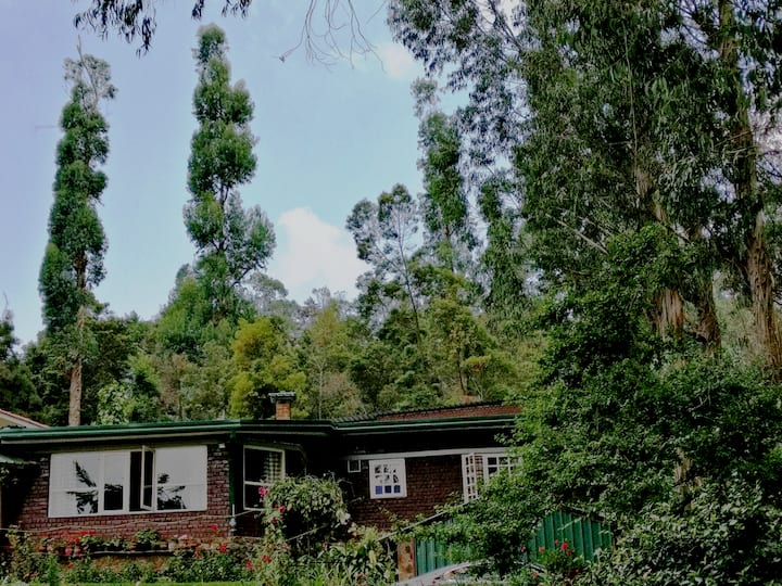 Jacaranda villa ! Beyond imagination