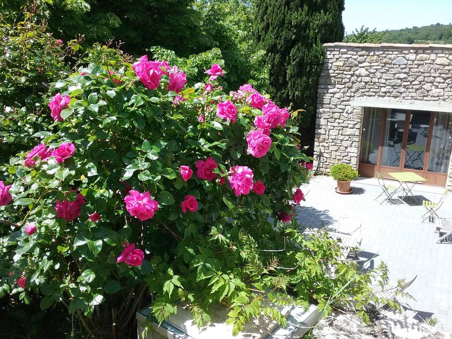 Le Studio vu du jardin