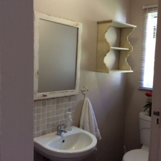 Renovated private toilet and basin