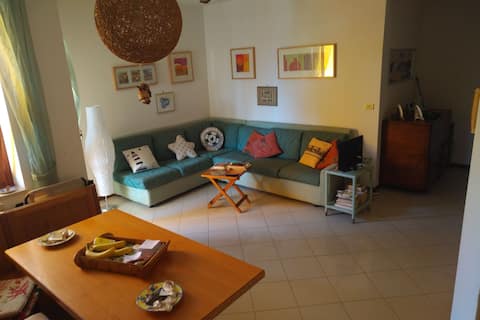“Sabaudia circe home”