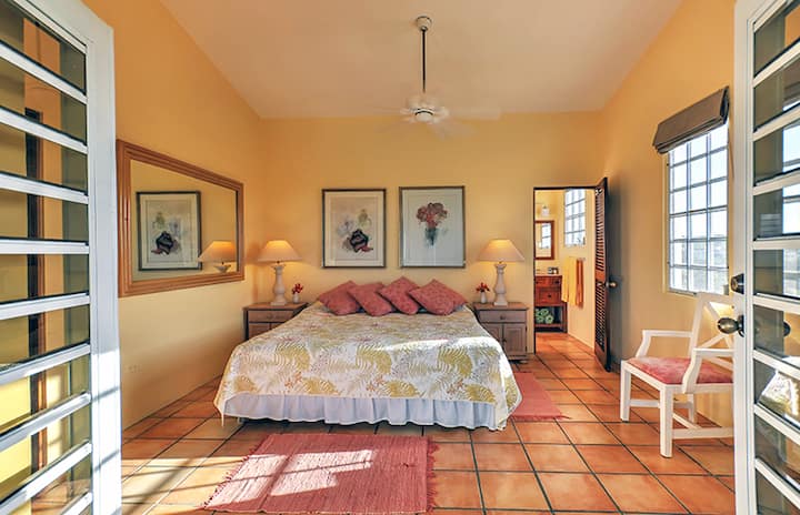 Ოსტატი King, AC, en suite და ფეხით ტერასა