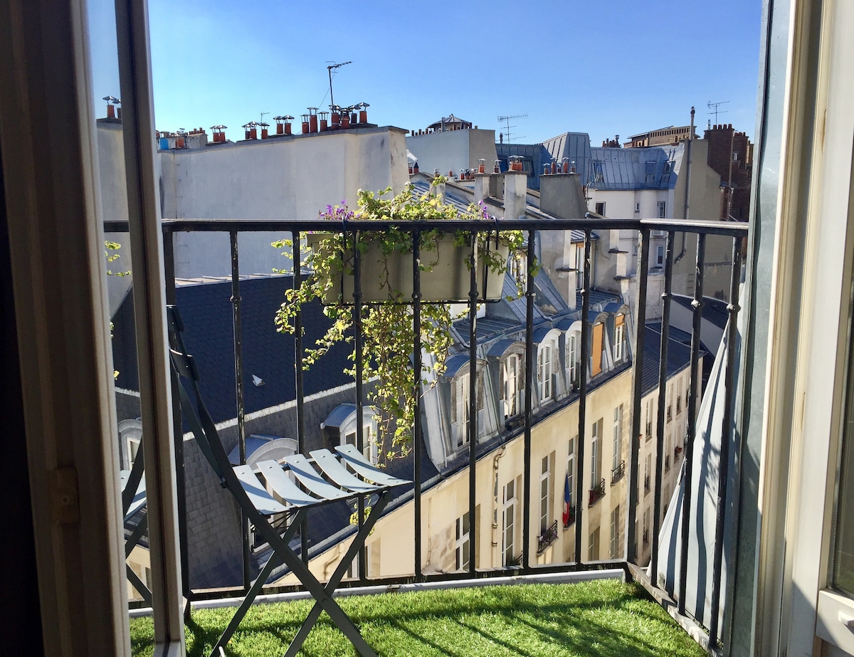A small balcony is visible, featuring a metal chair and a planter with greenery. The view showcases the rooftops of Paris under a clear blue sky, with chimneys and various building styles in the background.