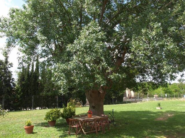 Masía Can Solà Gros gallery image 4