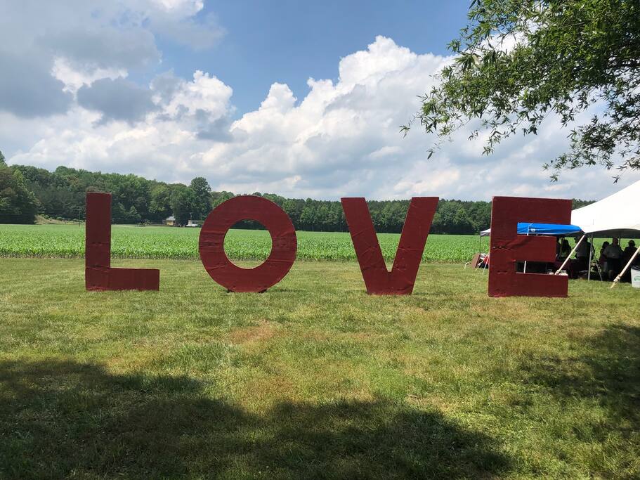 VA Love sign