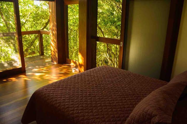 Აპარტამენტი 4 - ტყის ხედი