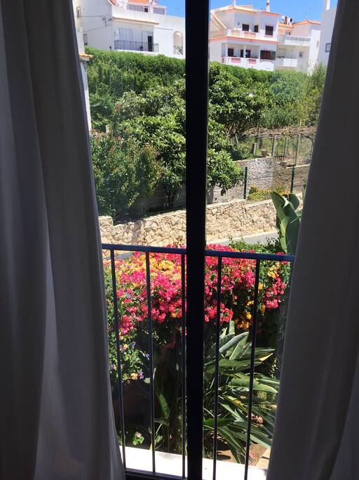 Gardens all around and beautiful flowers