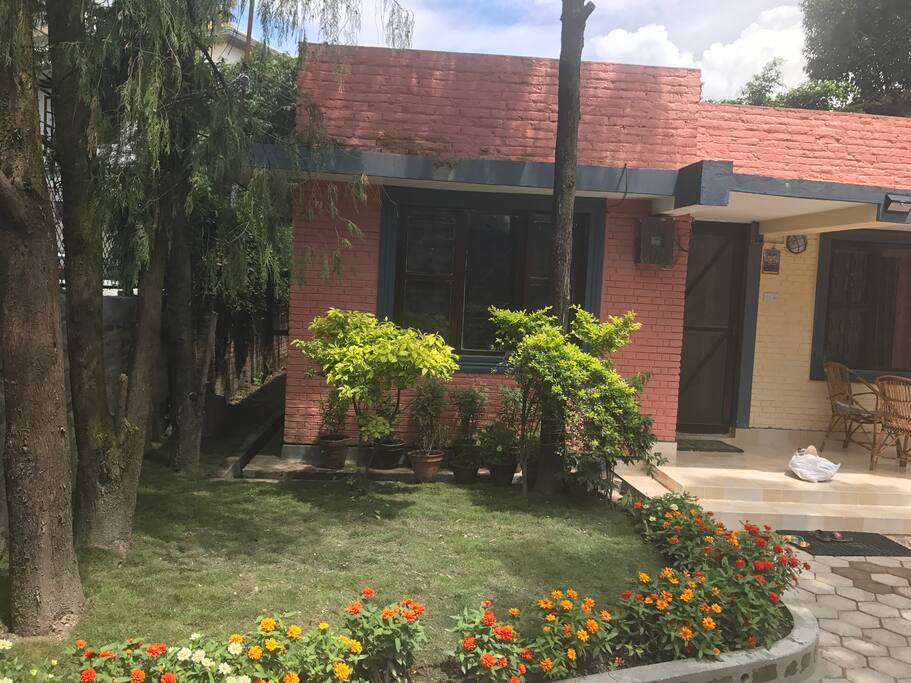 Front yard