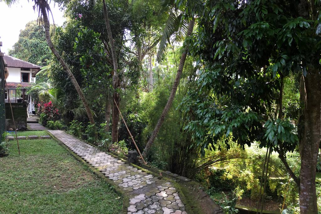 Walk Way