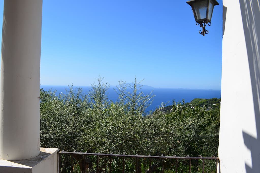 Panorama