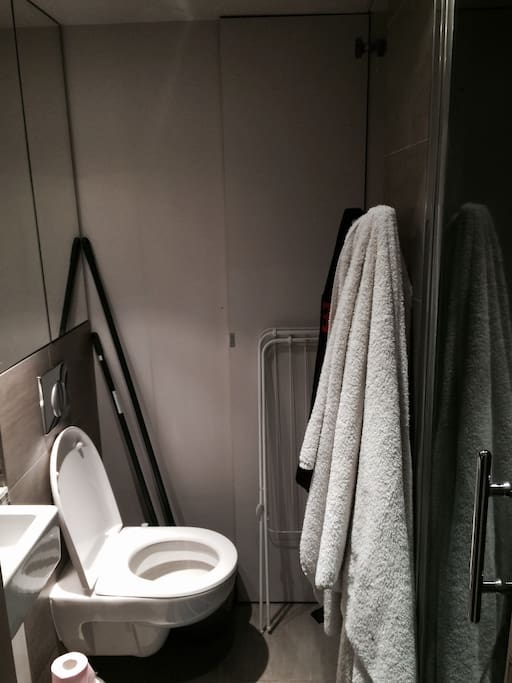 Salle de Bain avec machine à laver