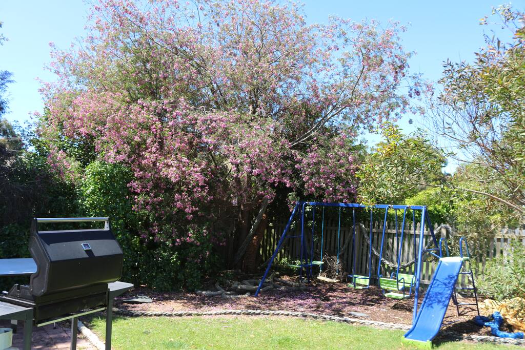 Children's playgroud