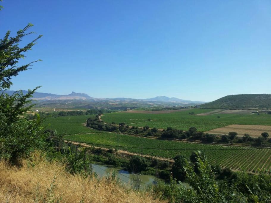 VISTAS DESDE EL BARRIO DEL CORTIJO