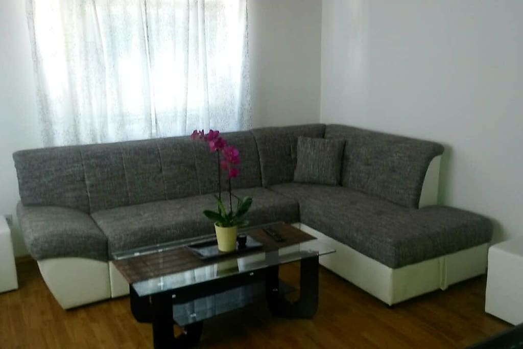 Living room with sofa-bed for 2