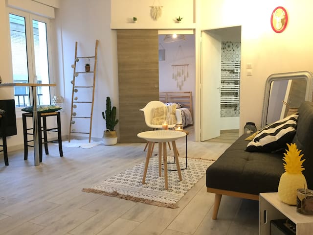 Cozy apartment hypercentre Le Mans