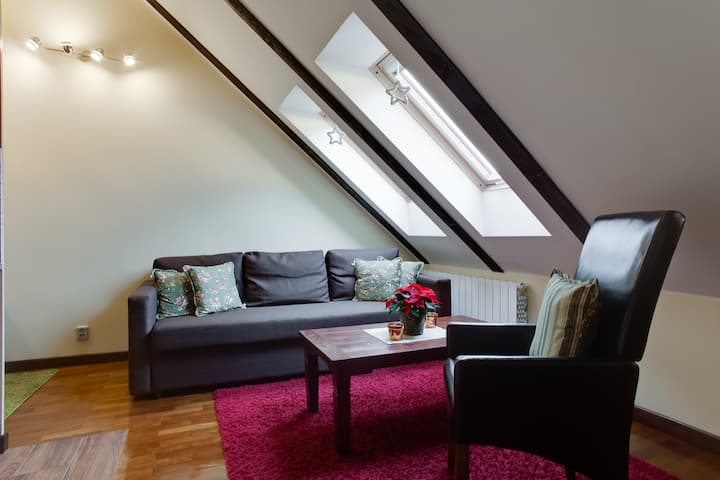 New Attic Flat With Unique View - Praag