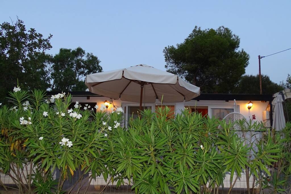 Dusk view