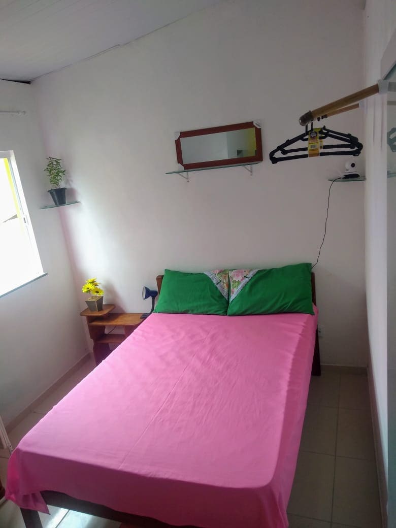 A compact bedroom features a single bed adorned with a pink bedspread and green pillows. A small bedside table holds a decorative plant. Natural light enters through the window, and a mirror is mounted on the wall above the bed.