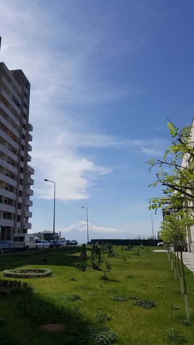 Apartment Wiew Mount Ararat