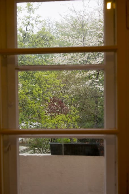 The view from the bedroom.