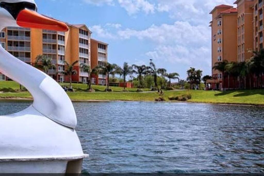 Paddleboat rides on the lake