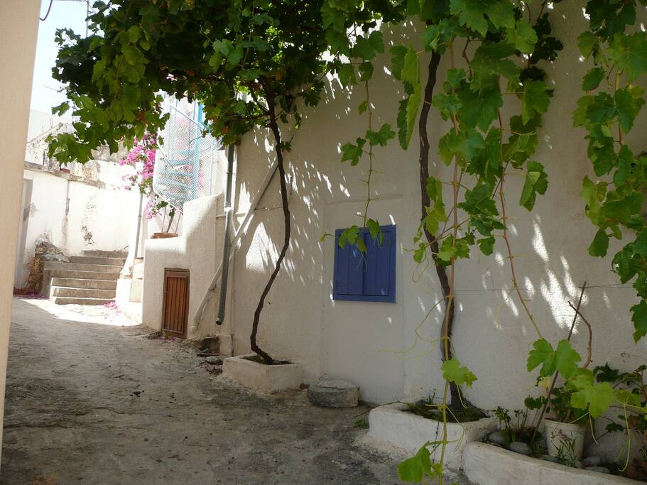 Lane to house