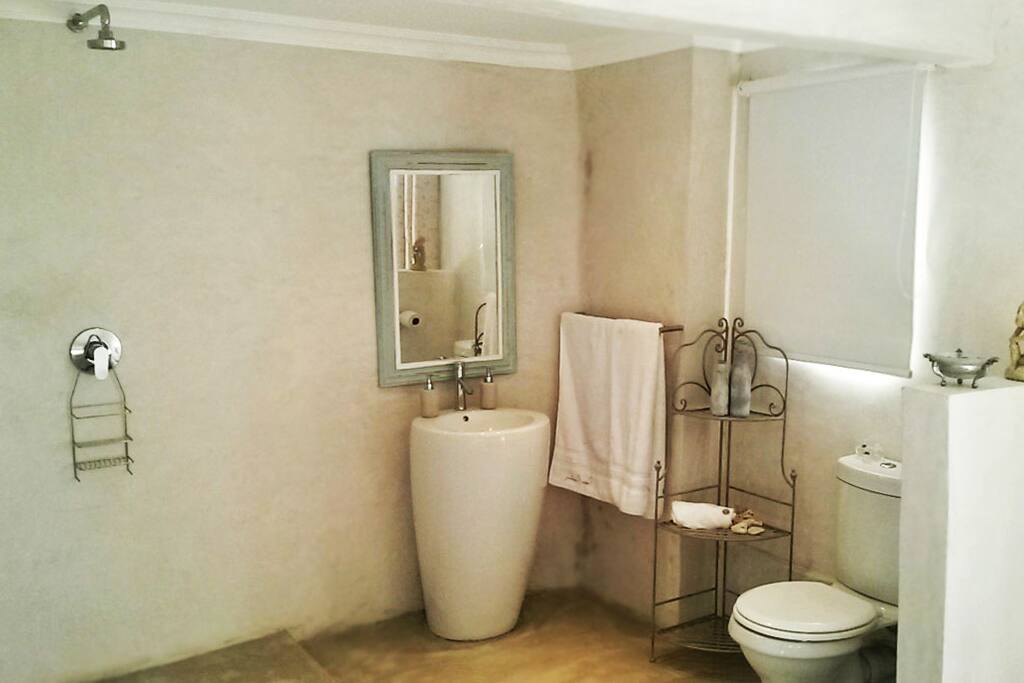 gorgeous spacious shower