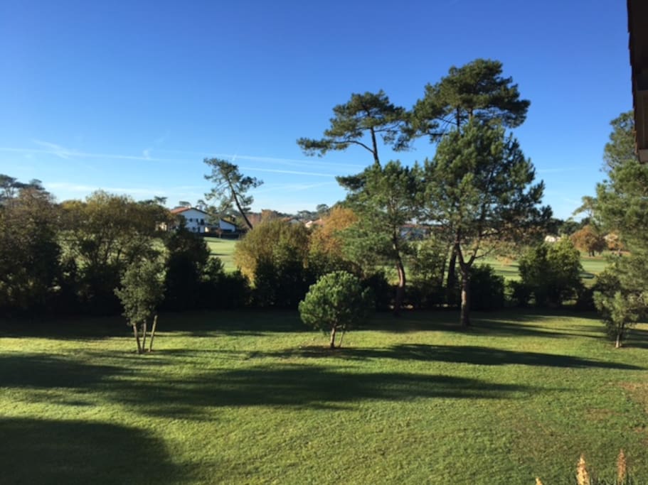 Vue dégagée sur le parc et golf !