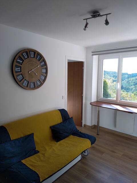 25 m² apartment, with double bed and sofa bed.