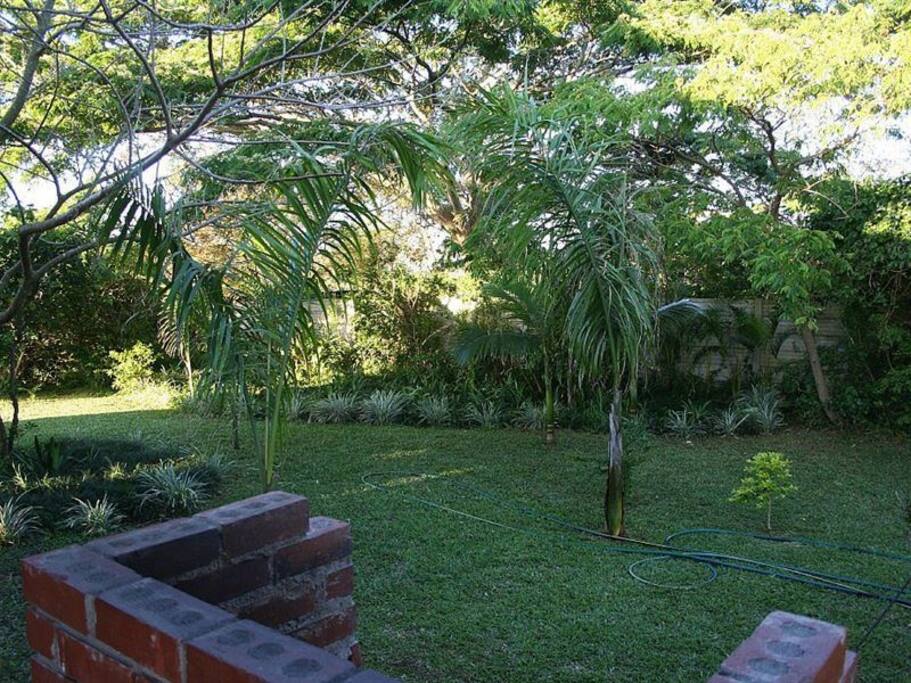 Garden and Barbeque