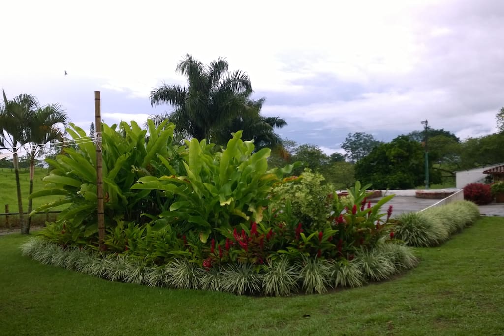 Enjoy the Gardens