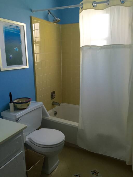 Guest bathroom with full shower/tub.
