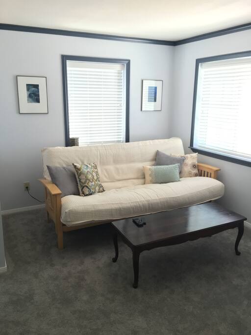 Queen sized futon sofa/sleeper
