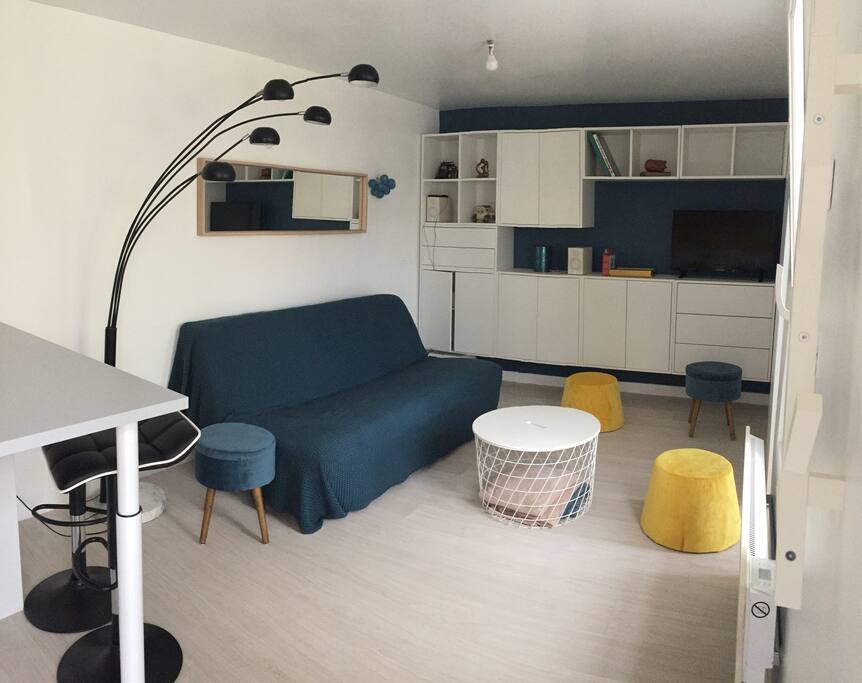 Le salon avec TV, placards...