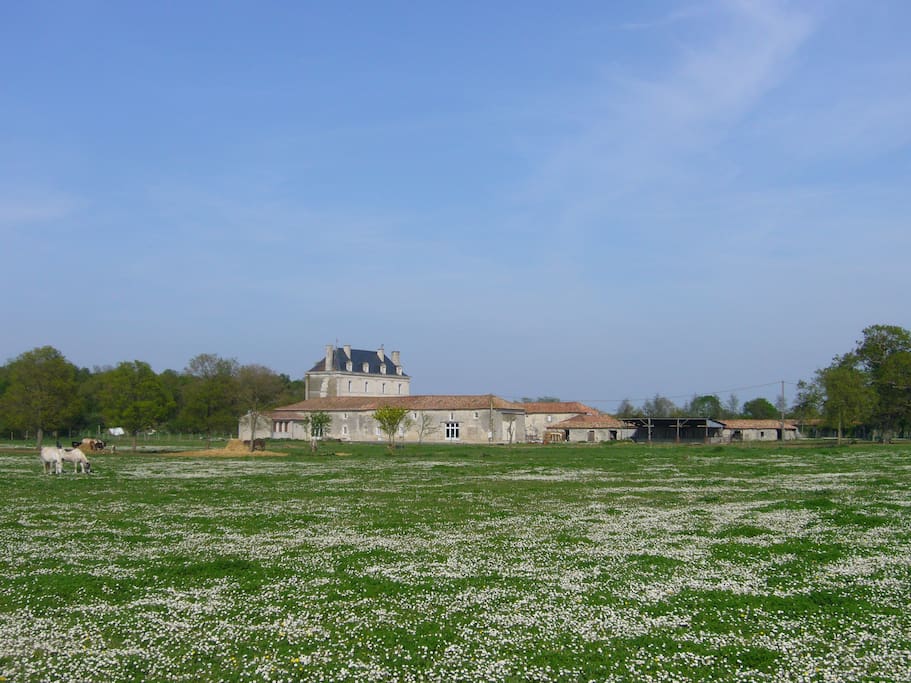 vue éloignée du domaine