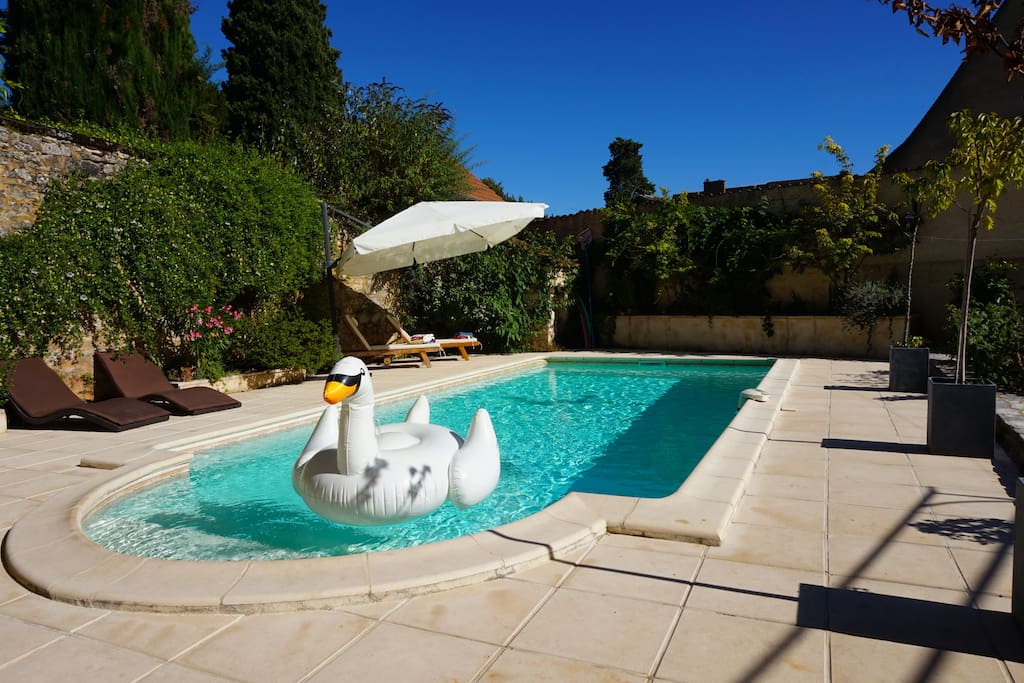 The pool area including umbrella and sun lounges